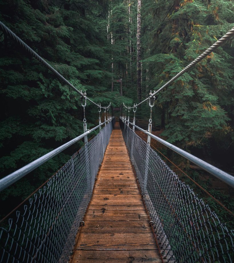 pexels-jake-pnw-1761279 (1)